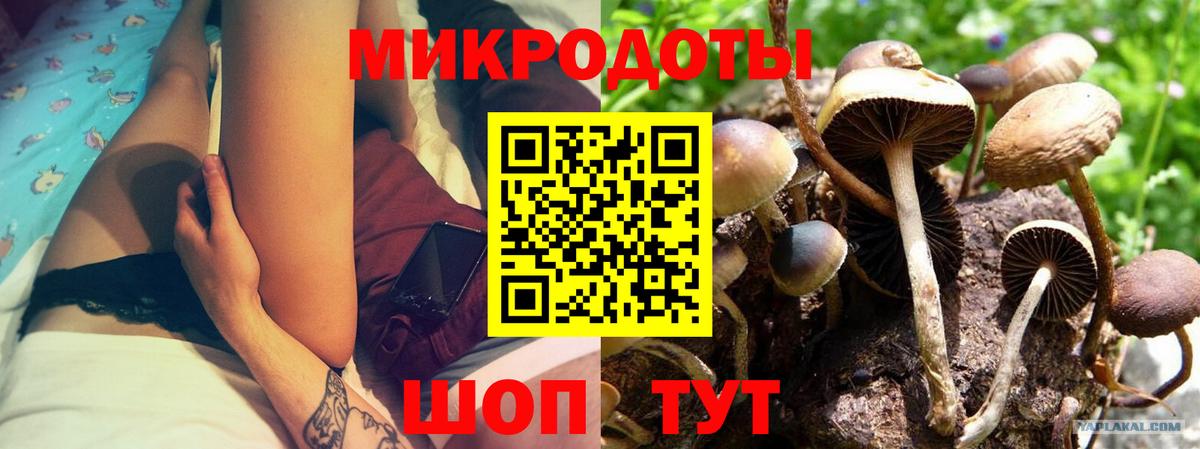 Бугульма  Псилоцибиновые грибы прущие грибы  Вход с VPN 