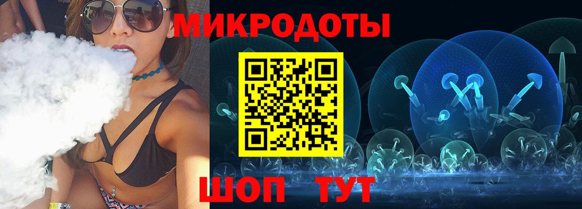 Галлюциногенные грибы Psilocybine cubensis Бугульма